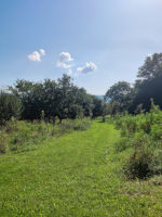 Wiesengrundstück